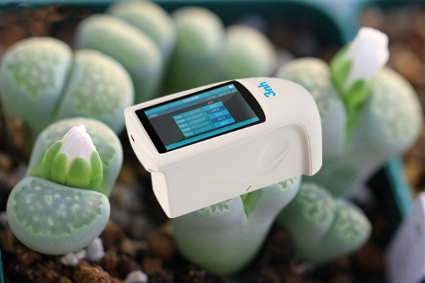 多肉植物叶片光泽度测试